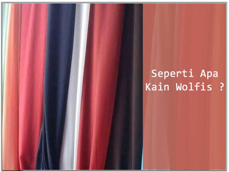 seperti-apa-kain-wolfis